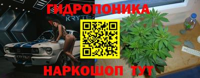МДПВ Донецк
