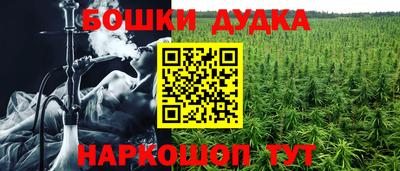 МДПВ Донецк