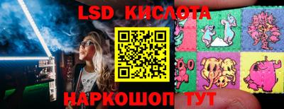 шишки Донской