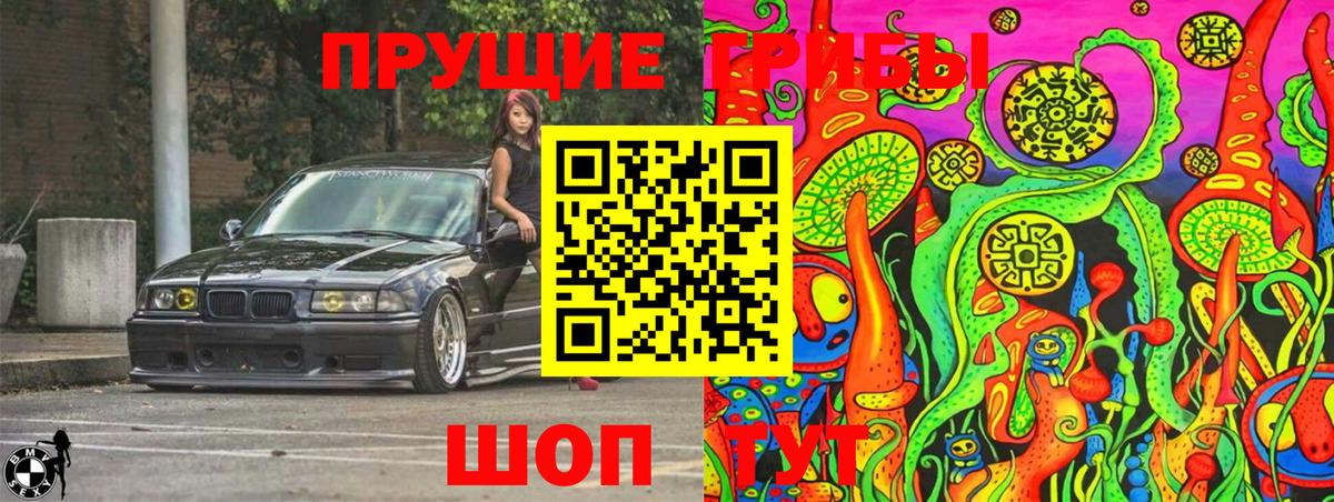 Галлюциногенные грибы Psilocybine cubensis  Вход с VPN  Псилоцибиновые грибы Psilocybe  Лениногорск 