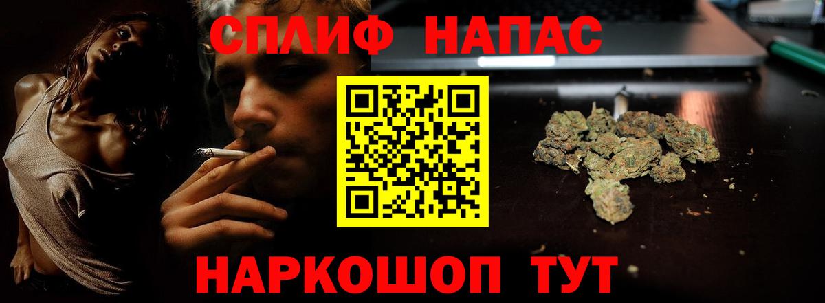 Канабис план Лениногорск